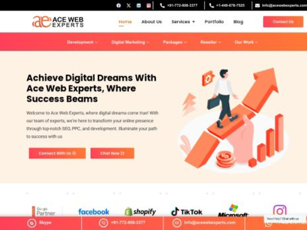 acewebexperts.com