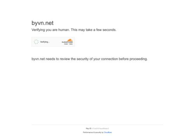 byvn.net