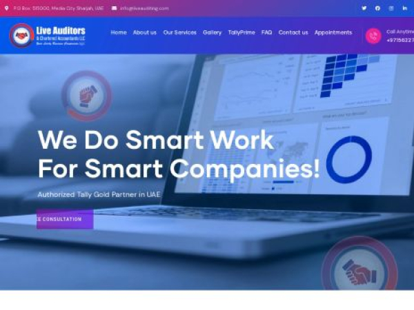 liveauditing.com