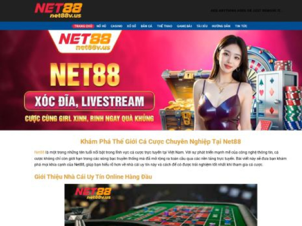 net88v.us