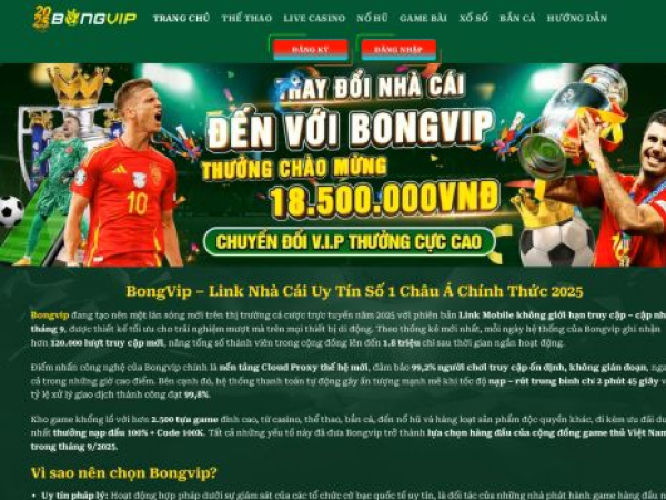 nhacaibongvip.com