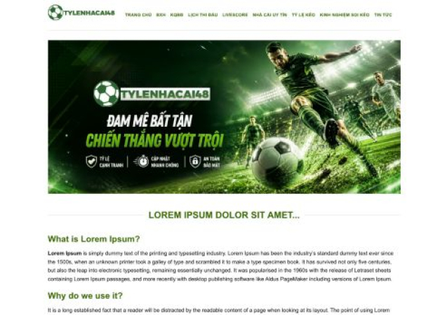 tylenhacai48.com