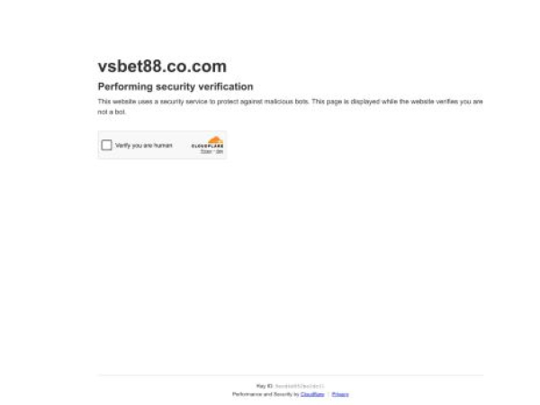 vsbet88.co.com
