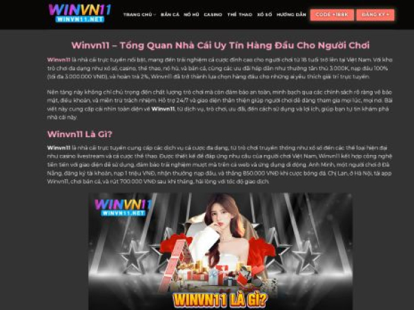 winvn11.net