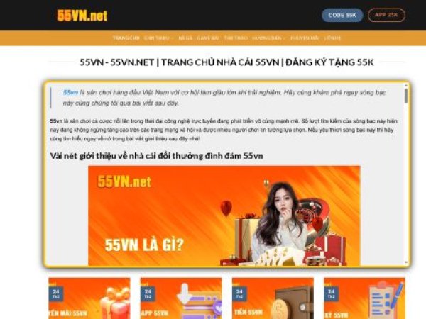 55vn.net