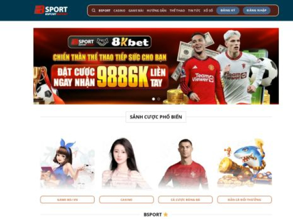 bsport.report