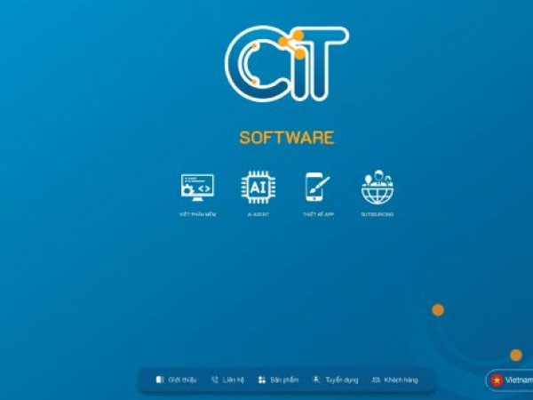 citgroup.vn