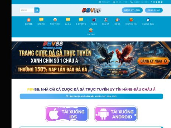 pbv88aa.com