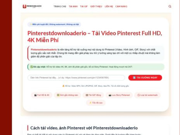 pinterestdownloaderio.com