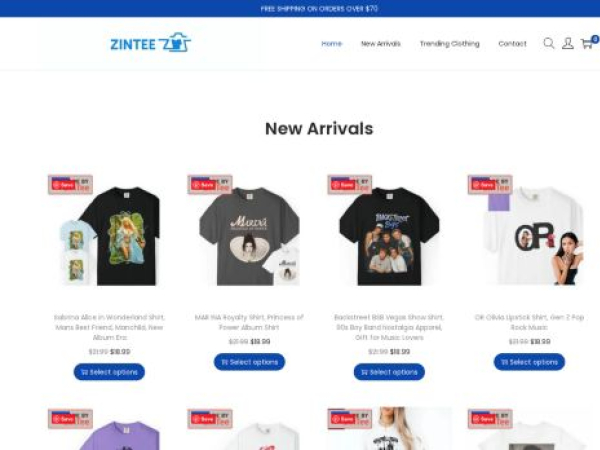 zintee.com