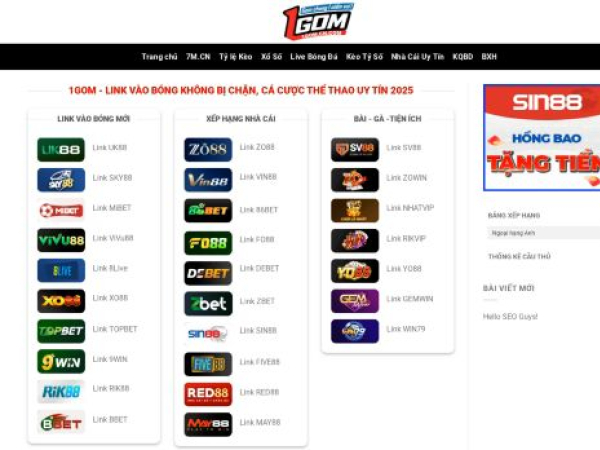 1gom.cn.com