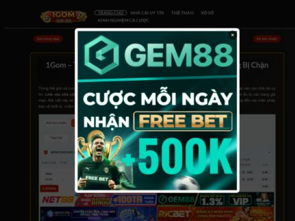 1gomvn.pro