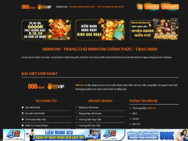 888nowvn.com