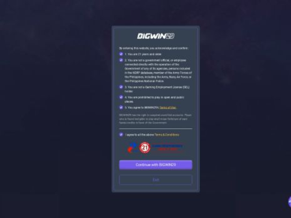 bigwin29.com