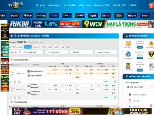 tylekeo.cn.com