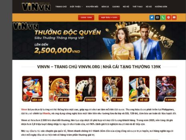 vinvn.org