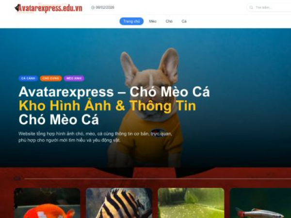 avatarexpress.edu.vn