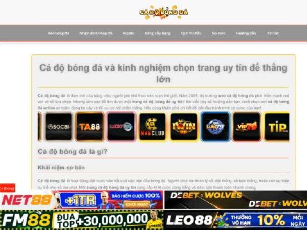 cadobongda.com.co