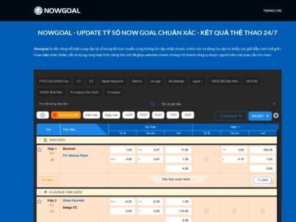 nowgoals.club