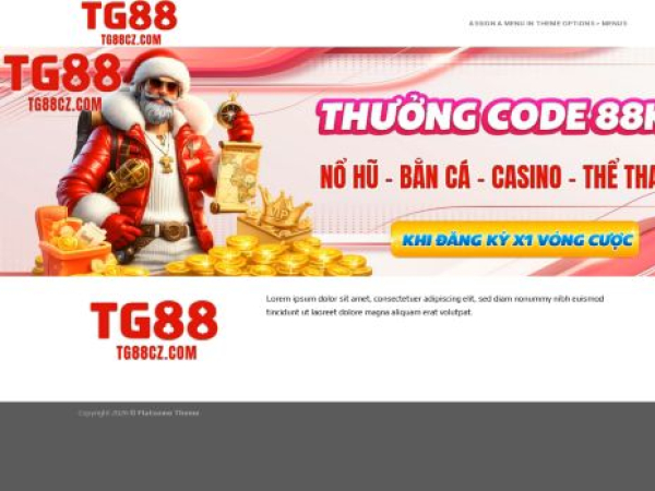 tg88cz.com