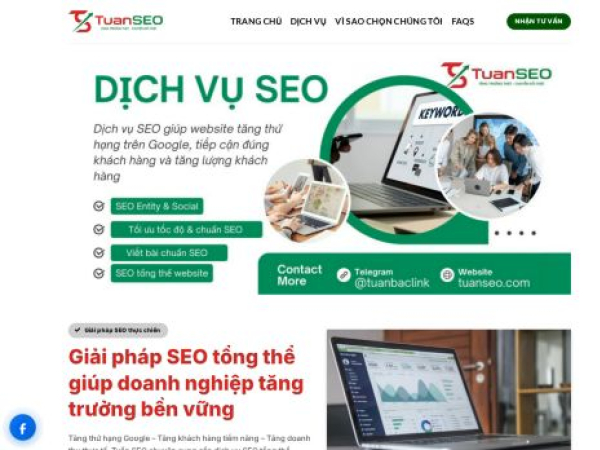 tuanseo.com