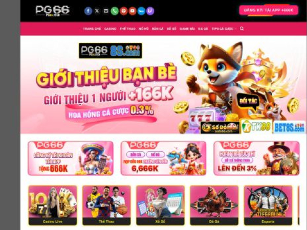 pg66.tech