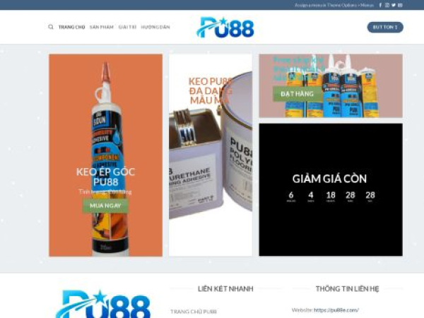 pu88e.com
