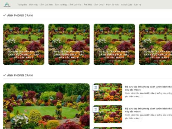 anhcute.online