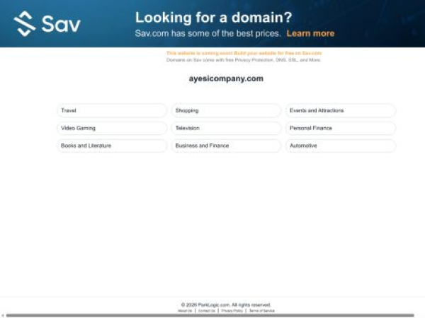 ayesicompany.com
