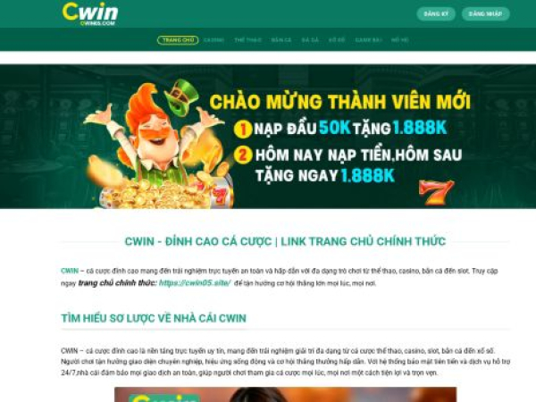 cwin05.site
