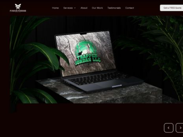 fusionfinessedesign.com