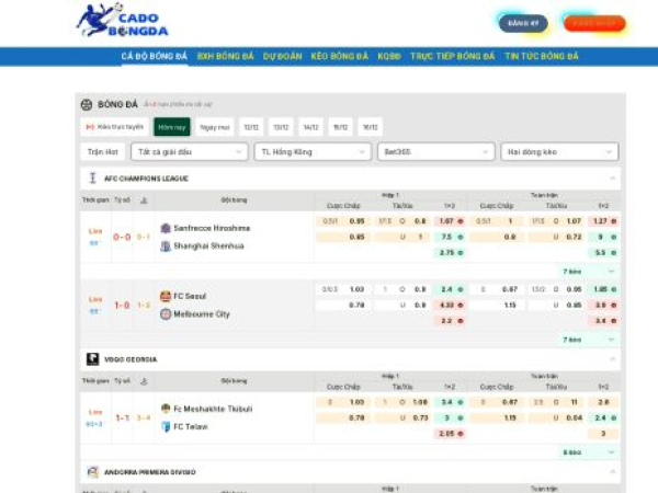 petrastuntfoundation.com