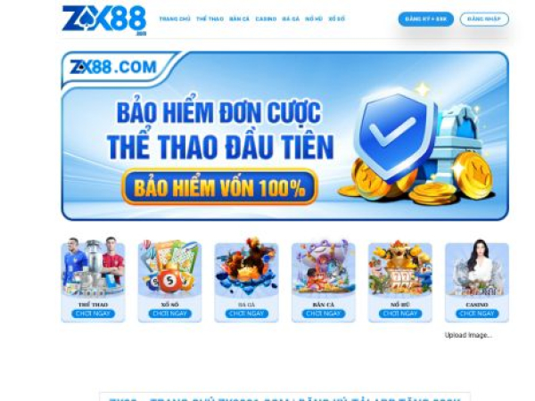 zx-88.net