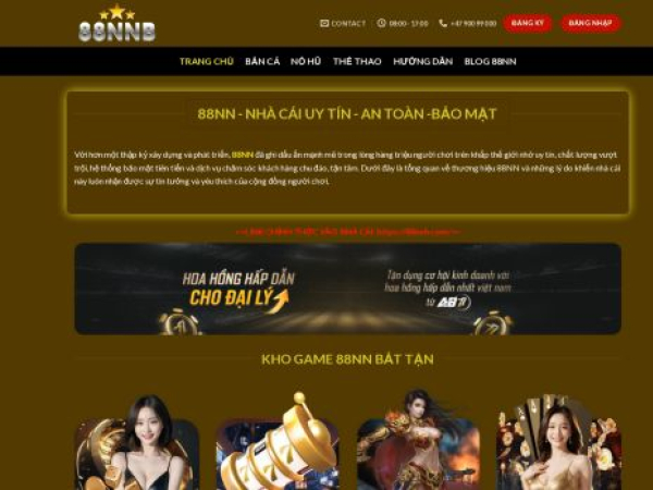 88nnh.com