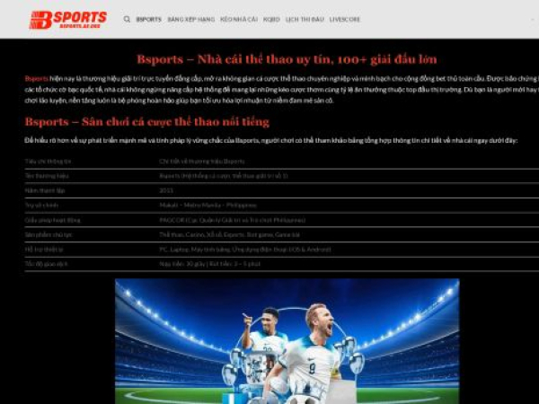 bsports.ae.org