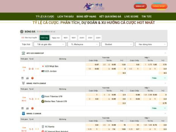 friggioilservice.com