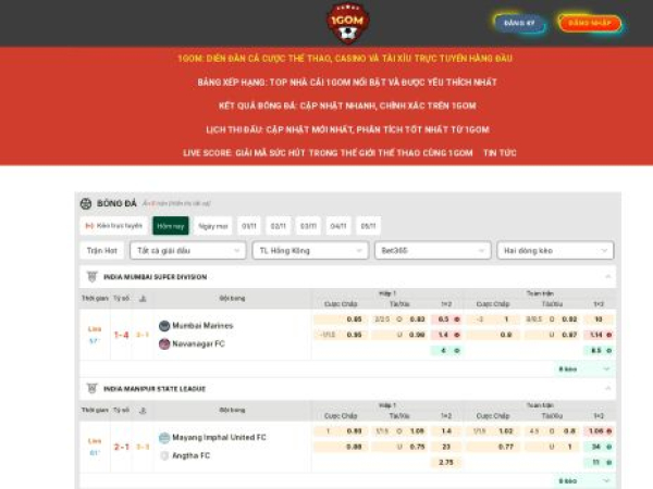 internationalconflictwitness.com