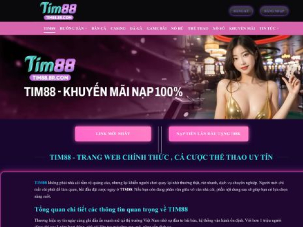 tim88.br.com