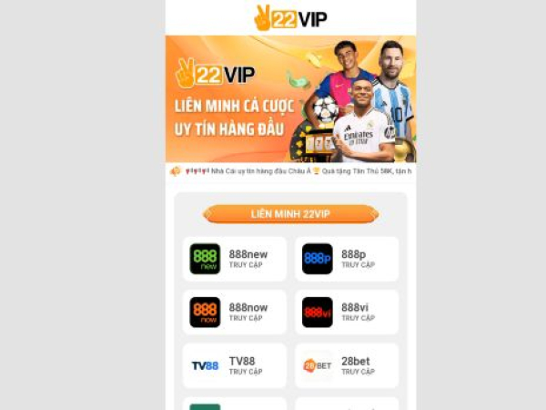 vn22vip.com