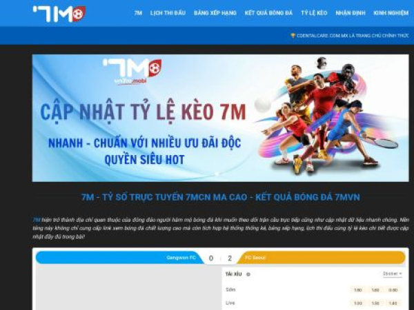 vn7m.mobi