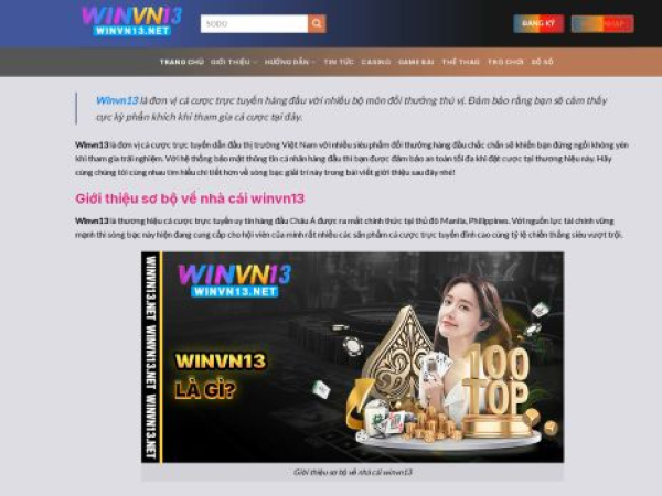 winvn13.net