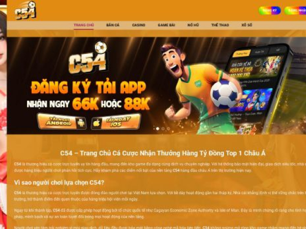 c54vip.net