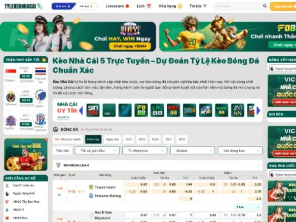 tylekeonhacai5.it.com