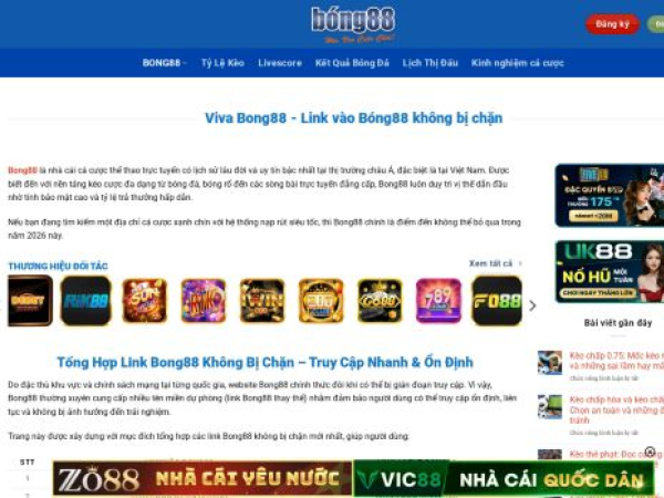 vivabong88.com.mx