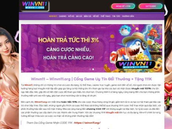 winvn11.org
