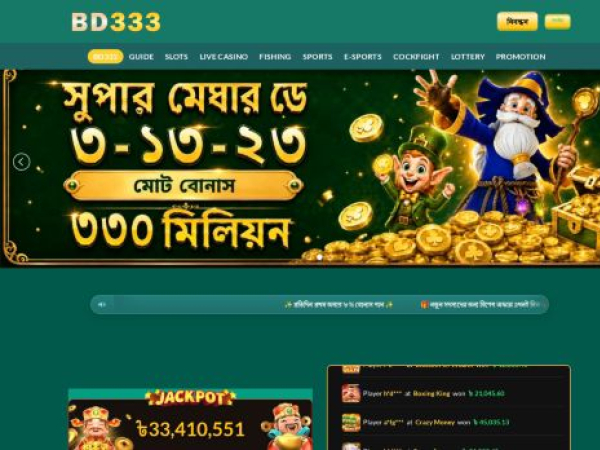bd333.tech