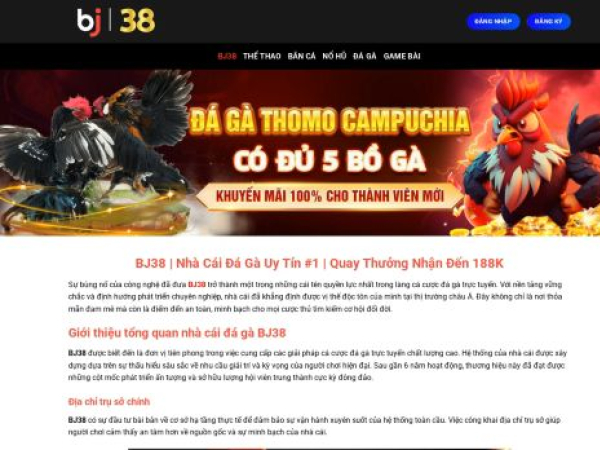 bj38.co.com