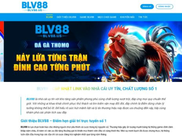 blv88.us