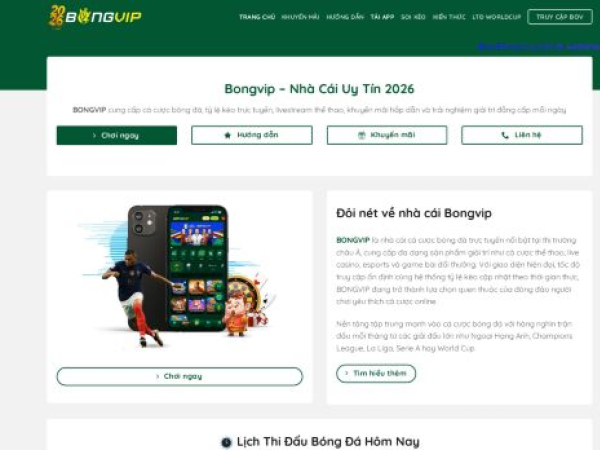 bov99.com
