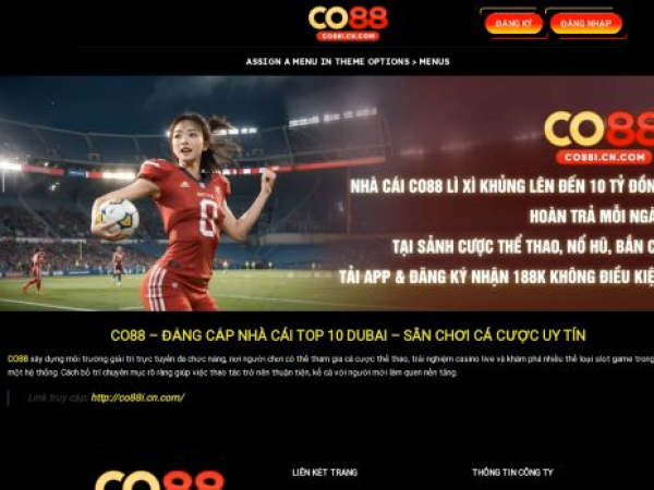 co88i.cn.com